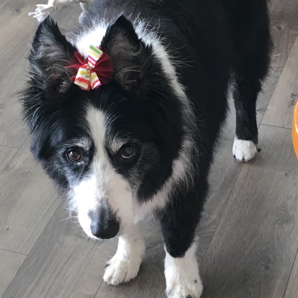 Meet your Posher, Eli